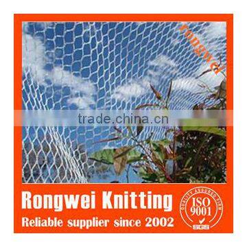 knitting vineyard bird protection net