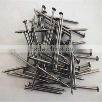 1/2"-13" High Quality Common Nails/ Stainless Steel Nail