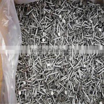 Painting Common Nail From Nail Factory photo-2