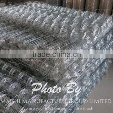 1/2'' Galvanized Welded Mesh photo-2