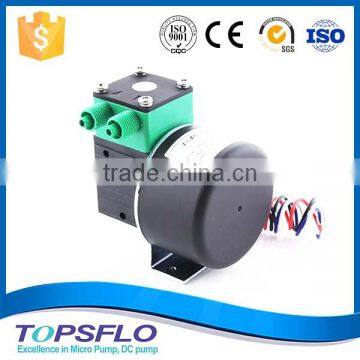 High Performance 6V 12V 24V Diaphragm Mini Air Pump