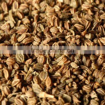 Celery Seeds photo-2