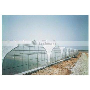Good Promotion Tunnel Greenhouse Film for Vegetables and Flowers photo-3