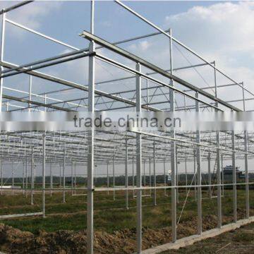 The Cheapest XINHE Single-span/multi-span Glass Green House photo-2
