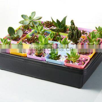 Plastic Raised Garden Bed photo-3