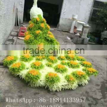 Garden decorative artificial topiary topiary frame peacock