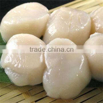 frozen comb pen shell scallop adductors with delicious taste