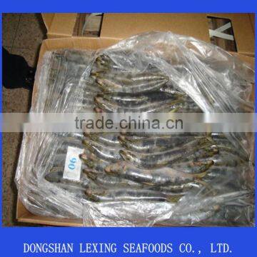 frozen whole round sardine for tuna bait