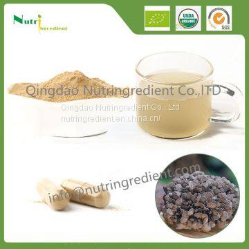 Organic Maitake extract powder