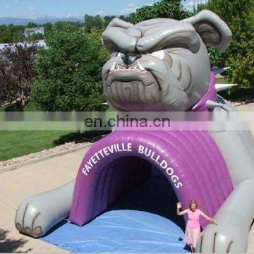 2015 hot sale inflatable hamster tunnel