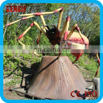 Playground quality animations insect spider of spider model