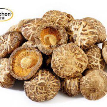 Tea Flower Shiitake Mushroom