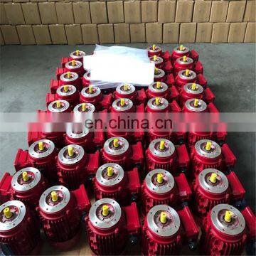 YE2 Series High Speed Electric Motor Three Phase Induction Motor for Industry Machinery Asynchronous Motor photo-7