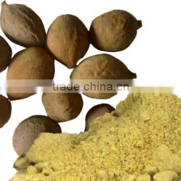 Best Quality Terminalia bellirica Powder Sale