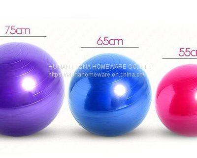 Hot Sale Body Building Exercise Gym Anti-Burst Inflatable Custom Logo PVC Balance Yoga Ball photo-5