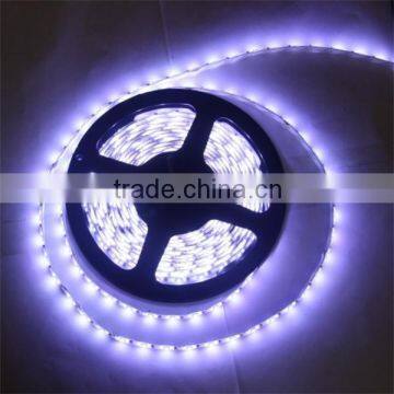 Amazing Price rgb/white/warm white dimmable SMD 3528 led strips light