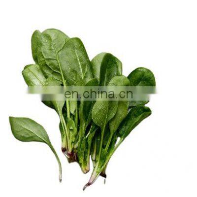 frozen spinach frozen spinach healthy vegetables 2021 new crop food planet hot selling iqf frozen spinach