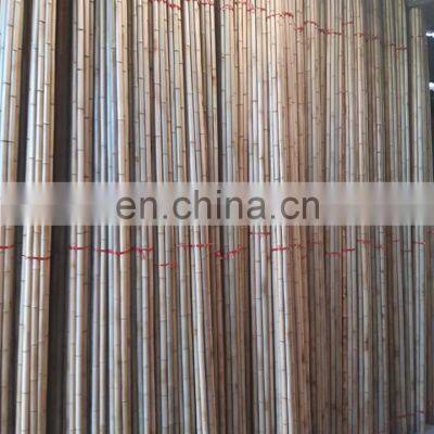 Wholesale Competitive Price Top A Grade Natural Bamboo for Indoor/ Outdoor Furniture From Viet Nam Factory