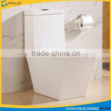 GO-09 Ceramic one piece washdown sanitary ware