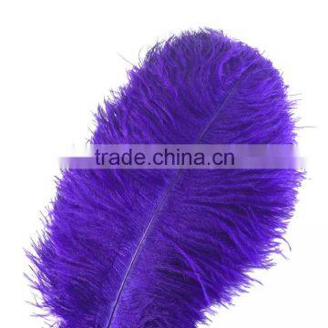 New Style Natural 10-12 Inch Ostrich Plumes for Party Decorations photo-6