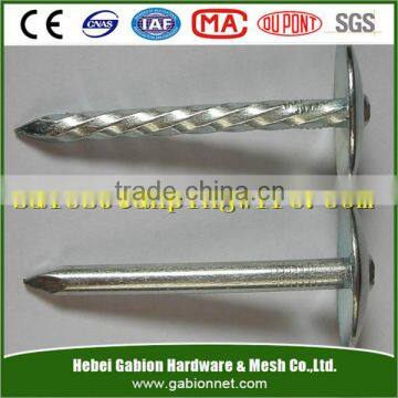 umbrella head roofing nail for asphalt shingles