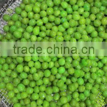 Hot Sell Canned Green Peas photo-3
