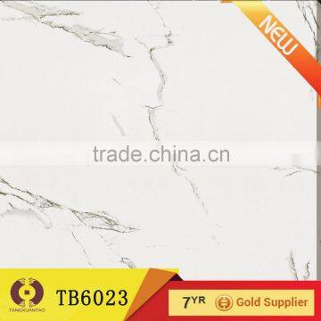 Make In Foshan cheap wall tiles porcelain with 3d glazed polished (TB6023)