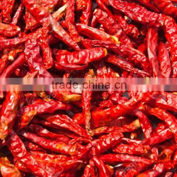 Dried red chillies