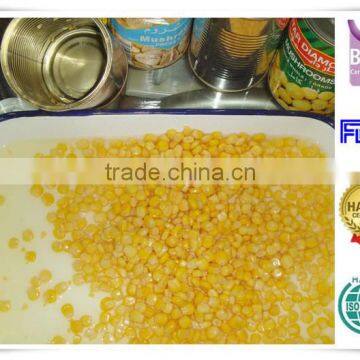 Top quality canned sweet corn cream style