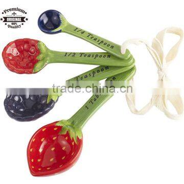 set of 4 ceramic handpaint berry measuring spoon