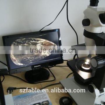 Fable LED illumination stereo zoom Gem microscope