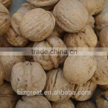 New Crop Bulk Walnut in Thin Shell for Sales photo-3