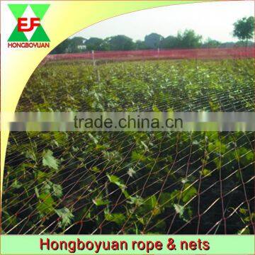 high quality 100% new PE anti bird netting with and competitive price