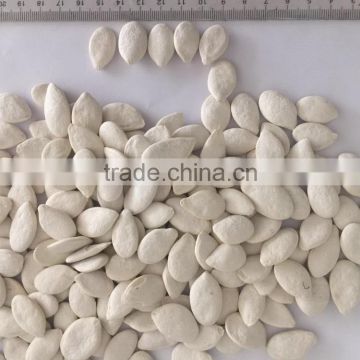 Salted Pumpkin seeds , Roasted and Salted Snow White Pumpkin Seeds. 11cm