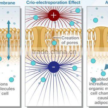 Radiofrequency Monopolar Meso Anti-aging Wrinkle rf and Skin Rejuvenation - New Cellactor photo-5