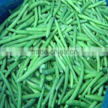 fresh frozen green beans