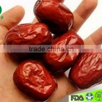 chinese dried red date