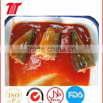 Canned Mackerel in Tomato Sauce with Best Quality