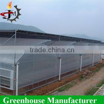 Strong structure Galvanized polytunnel greenhouse