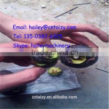 Shuliy Stainless Steel Avocado Semi-automatic to Remove Pit