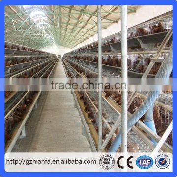 chicken eggs poultry cage sell good in kampala uganda/poultry cage layer chickens(Guangzhou Factory)