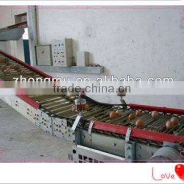 Layer chicken farm automatic machine egg collection equipment