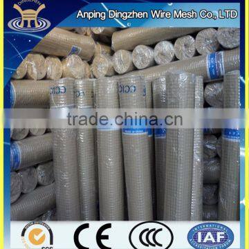 Cheap Galvanized Welded Wire Mesh Roll for Sale