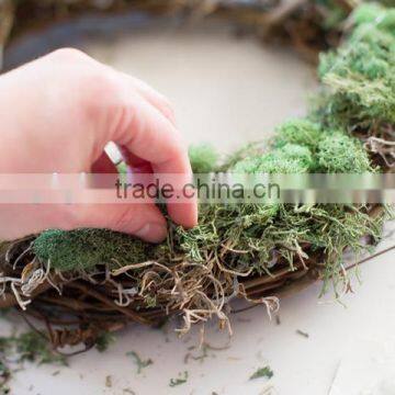 Multi Colors Real Natural Preserved Moss for Wall Christmas Decoration