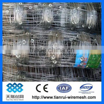 Field Fence/Grassland Fence/Cattle Fence (factory)