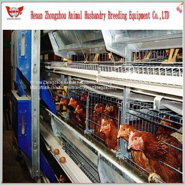 Professional Automatic Chicken Cage for Poultry Chicken Farm photo-5