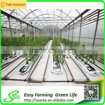 Polycarnonate Sheeting Greenhouse for Sale photo-3