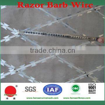 China Manufacturer Razor Barbed Wire Mesh(17 Year Factory) photo-2