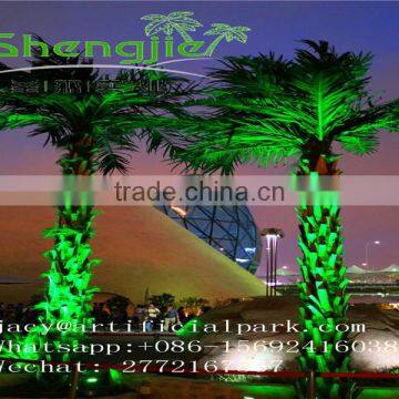 SJLJ01160 Outdoor Lighted Palm Tree Artificial Palm Led Tree photo-4