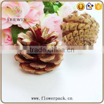 Pine Nuts Series of Natural Flowered Bark Engraving photo-2